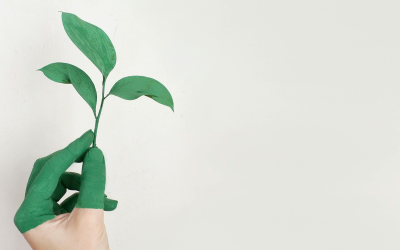 750 miljoen extra voor Nationaal Warmtefonds: Wat kun jij hiermee?