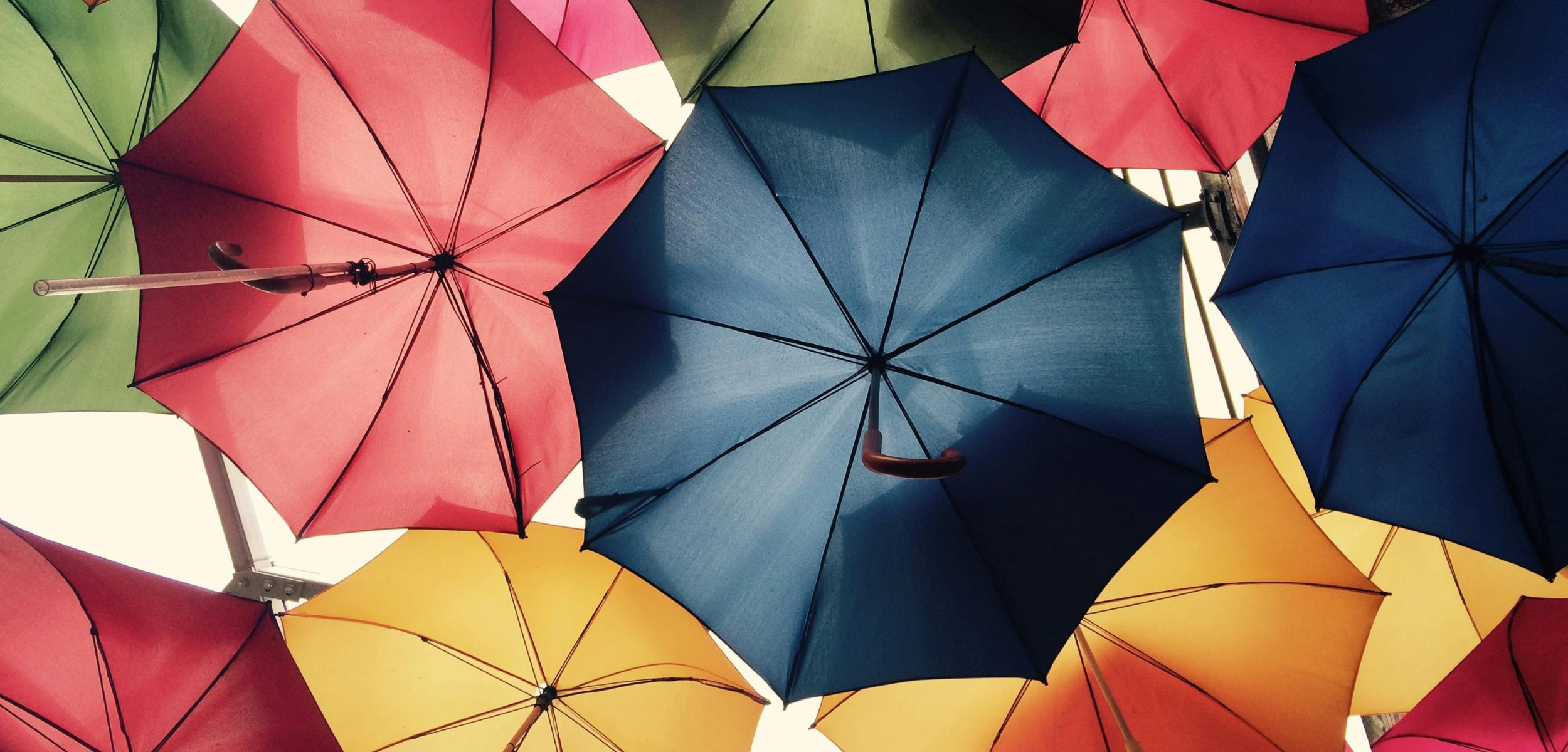 8 onmisbare verzekeringen voor je gezin 8 onmisbare verzekeringen voor je gezin